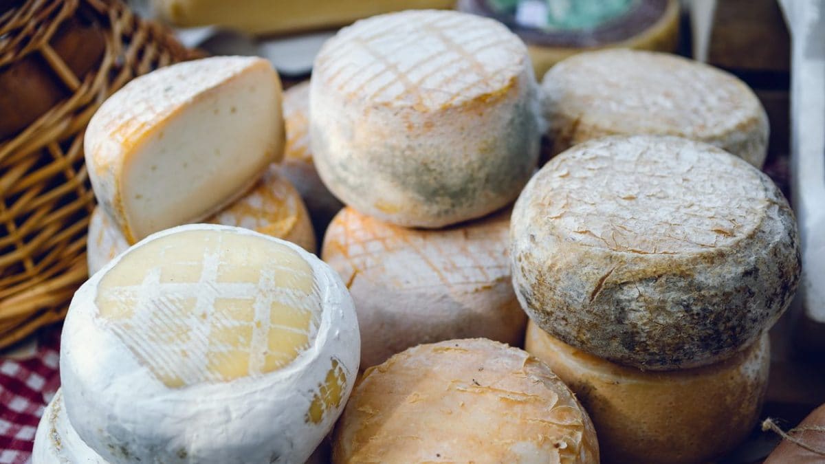 Natura e buon cibo - Laboratorio di formaggio nel Roero - Sentieri ...